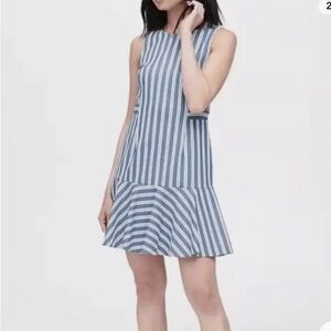 Banana Republic Drop Waist Dress